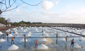 Festival nghề Muối Việt Nam - Bạc Liêu năm 2025