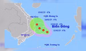 Khẩn cấp ứng phó với áp thấp nhiệt đới trên Biển Đông