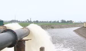 Nông nghiệp sẵn sàng ứng phó với biến động thị trường
