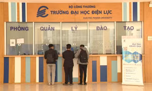 Sớm tái khởi động đào tạo nguồn nhân lực cho điện hạt nhân