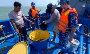 Bắt giữ tàu vận chuyển trái phép khoảng 100.000 lít dầu DO