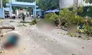 Hiện trường nhánh cây gãy rơi trúng nhóm người đang tập thể dục trong Công viên Tao Đàn (Quận 1, TP Hồ Chí Minh).
