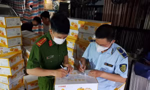 Đội QLTT số 12 phối hợp với Đội Cảnh sát Điều tra Tội phạm về Kinh tế và Chức vụ Công an Quận 12 (TP Hồ Chí Minh) kiểm tra điểm kinh doanh chứa bánh trung thu không rõ nguồn gốc xuất xứ, không rõ ngày sản xuất, hạn sử dụng. 