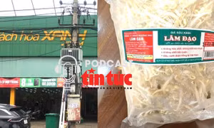 ‘Giải mã cùng luật sư’: Hàng nghìn tấn giá đỗ ngâm chất độc hại được tiêu thụ, ai là người chịu trách nhiệm? 