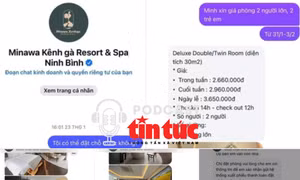  ‘Giải mã cùng luật sư’: Cẩn trọng ‘mắc bẫy’ fanpage tích xanh
