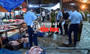 ‘Giải mã cùng luật sư’: Cần xử nghiêm hành vi buôn bán thịt lợn chết, thực phẩm nhiễm bệnh