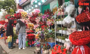 Sôi động thị trường hoa, quà tặng cận kề ngày 8/3 