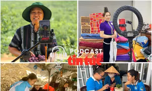 Chuyển đổi số thúc đẩy sự phát triển của phụ nữ 