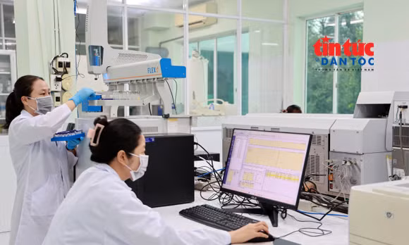 TP Hồ Chí Minh tuyển chuyên gia nông nghiệp công nghệ cao, lương đến 100 triệu đồng/tháng