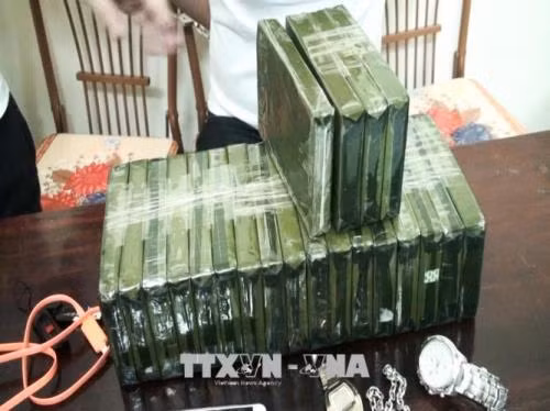 Kết hợp với người nước ngoài để đi buôn 7,5 kg heroin ảnh 2