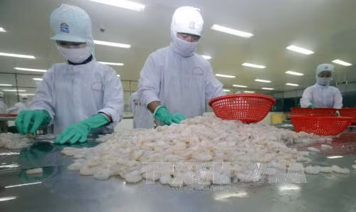 Năm 2018, phấn đấu kim ngạch xuất khẩu thủy sản đạt 8,5 tỷ USD ảnh 1