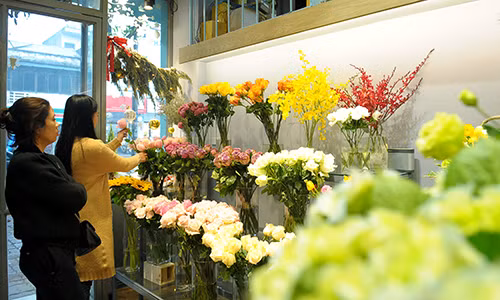 Hoa nhập chơi Tết giá hàng triệu đồng vẫn đắt hàng ảnh 5