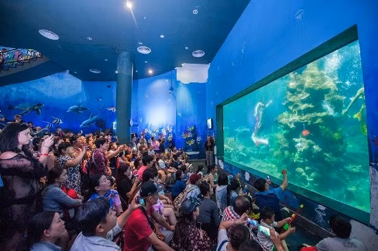 Check-in ‘chất chơi’ ở ‘Thiên đường mùa xuân’ ảnh 20