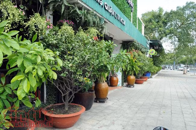 Vỉa hè quận 1 bát nháo sau khi ông Đoàn Ngọc Hải có đơn từ chức ảnh 6