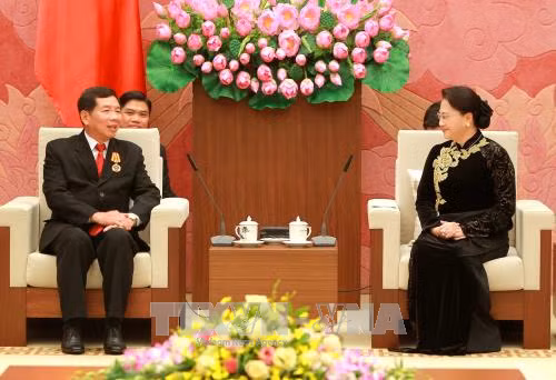 Chủ tịch nước Trần Đại Quang tiếp Chánh án Tòa án nhân dân tối cao Lào ảnh 2