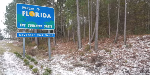 Mỹ: Bang Florida lần đầu có tuyết rơi sau gần 30 năm ảnh 1