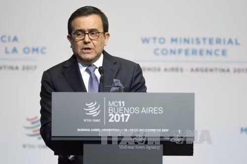 EU- Mexico khởi động vòng 8 tái đàm phán FTA ảnh 1