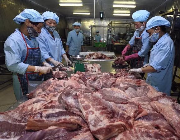 Giá lợn hơi không tăng như kỳ vọng ảnh 2