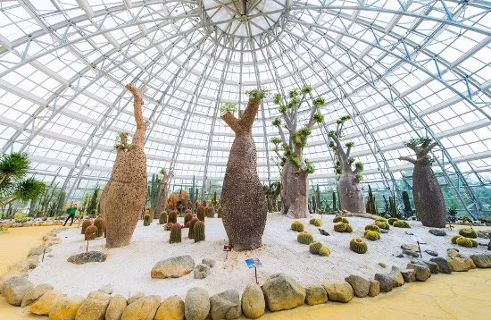 Check-in ‘chất chơi’ ở ‘Thiên đường mùa xuân’ ảnh 11