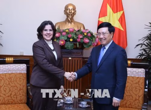 Tiếp tục tăng cường quan hệ hợp tác song phương Việt Nam - Cuba ảnh 1