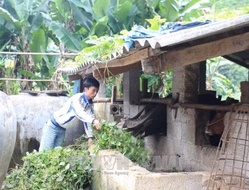 Cao Bằng rà soát, bổ sung cho vay đối với hộ nghèo và cận nghèo ảnh 1