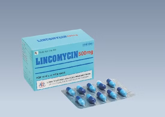 Bộ Y tế truy nguồn gốc thuốc kháng sinh Lincomycin giả ảnh 1