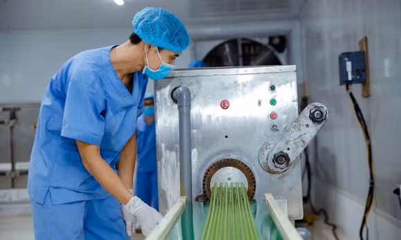 Ống hút rau củ OCOP 5 sao mở rộng thị trường xuất khẩu