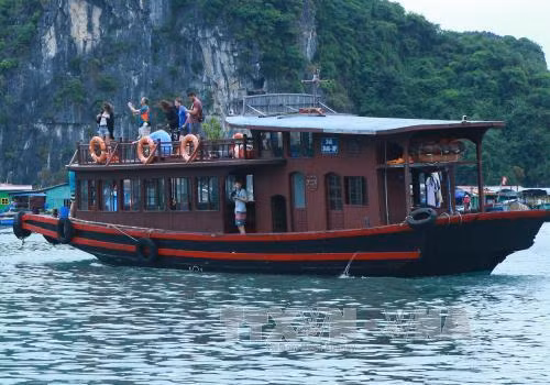 Đình chỉ hoạt động 3 tàu du lịch trên Vịnh Hạ Long ảnh 1