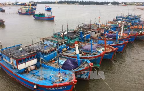 Chủ động ứng phó với áp thấp nhiệt đới gần bờ và áp thấp nhiệt đới gần Biển Đông ảnh 1