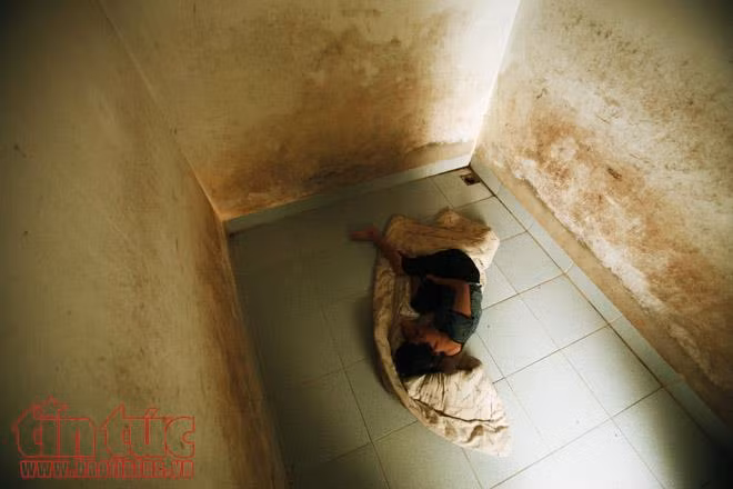Nỗi đau da cam trên quê lúa Thái Bình ảnh 3