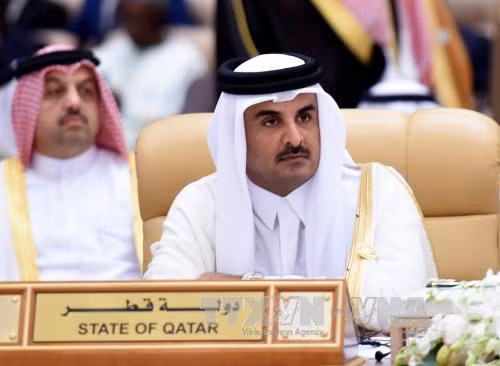 Quốc vương Qatar tố Saudi Arabia và đồng minh muốn 'thay đổi chế độ' ảnh 1