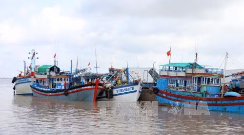 Sóc Trăng phát triển đội tàu đánh bắt xa bờ ảnh 1