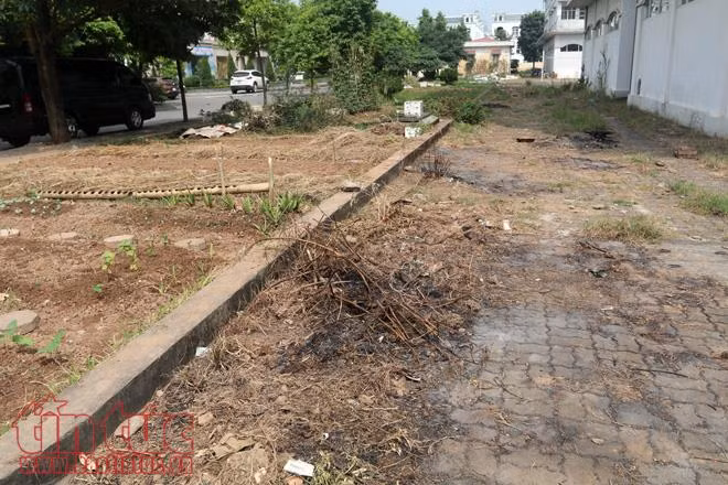 Hoang tàn ba tòa nhà bỏ không tại Hà Nội bị đề nghị đập bỏ ảnh 3