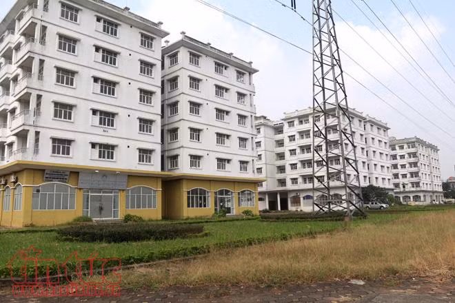 Hoang tàn ba tòa nhà bỏ không tại Hà Nội bị đề nghị đập bỏ ảnh 1