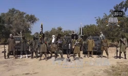  Cameroon: 11 người thiệt mạng trong cuộc tấn công của Boko Haram ảnh 1