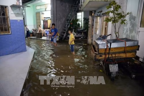 TP. Hồ Chí Minh ứng phó triều cường và áp thấp nhiệt đới ảnh 1