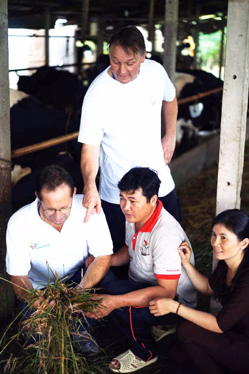 Giao lưu, tập huấn kỹ thuật chăn nuôi bò sữa giữa nông dân Hà Lan và nông dân Việt Nam ảnh 3