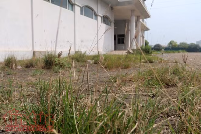 Hoang tàn ba tòa nhà bỏ không tại Hà Nội bị đề nghị đập bỏ ảnh 4