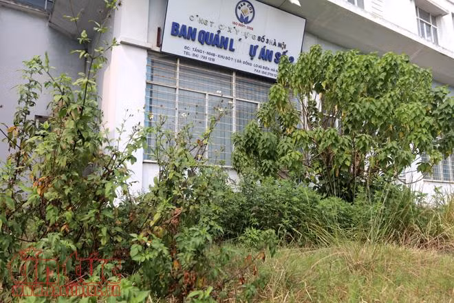 Hoang tàn ba tòa nhà bỏ không tại Hà Nội bị đề nghị đập bỏ ảnh 7