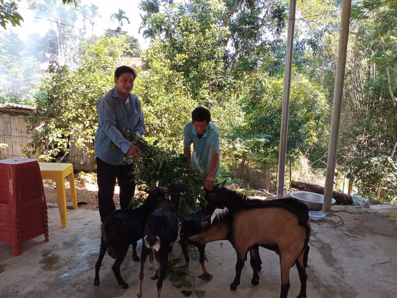Chú thích ảnh