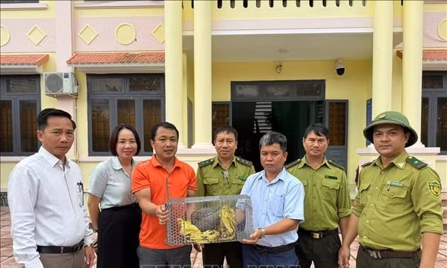 Người dân Sơn Hạ tự nguyện giao nộp cá thể tê tê quý hiếm
