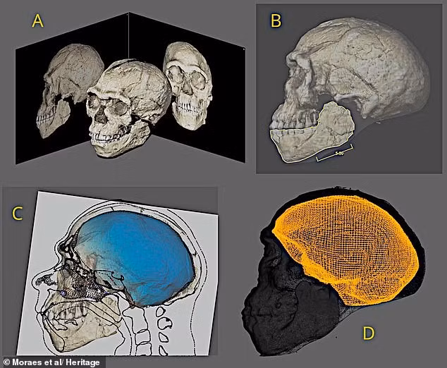 111535607-16168675-scientists-pieced-together-the-ancient-face-from-fossil-fragment-m-2-1790681441477.jpg
