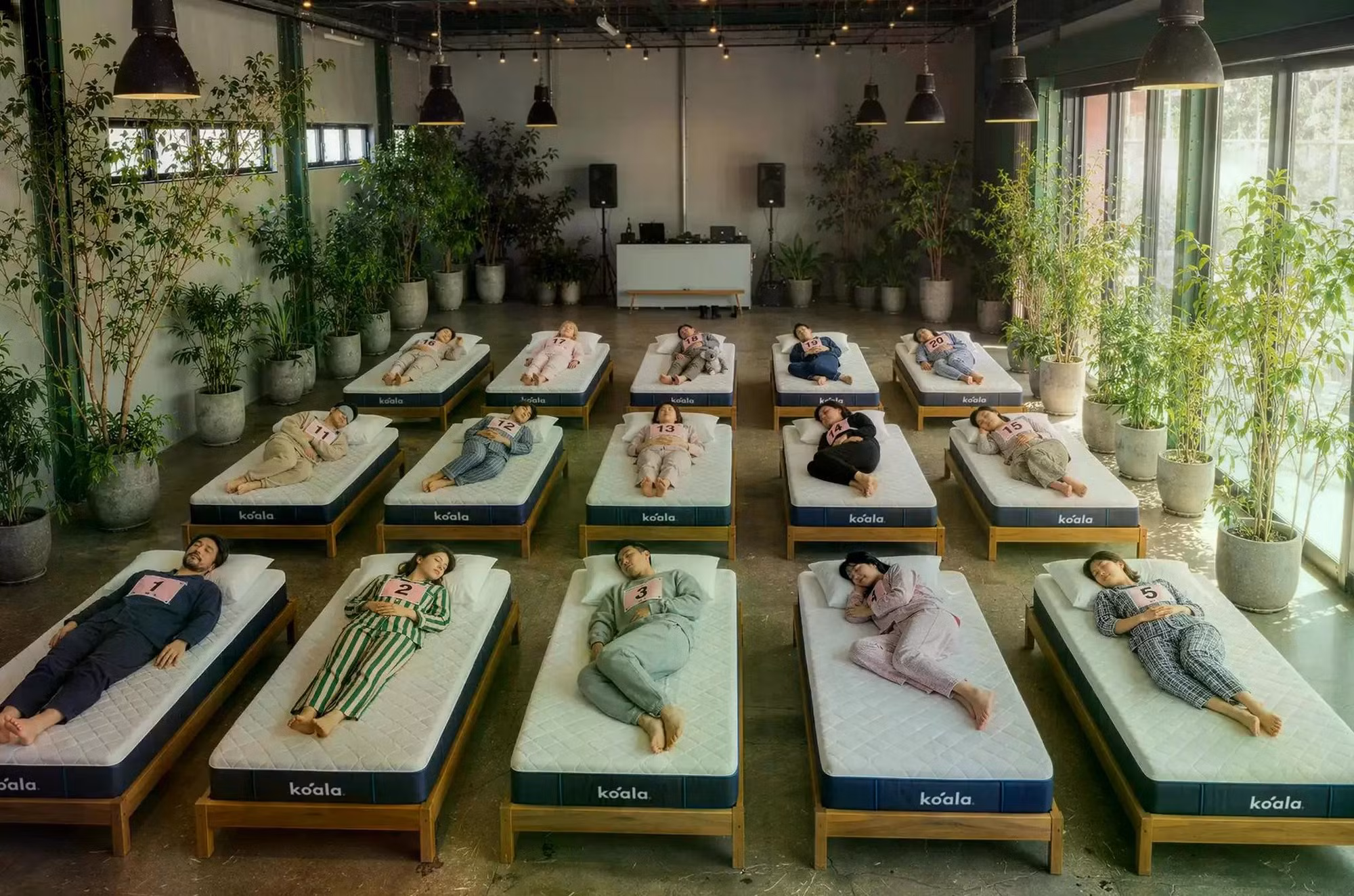 mattrace-sleep-competition-koala-mattress-002jpg.jpg