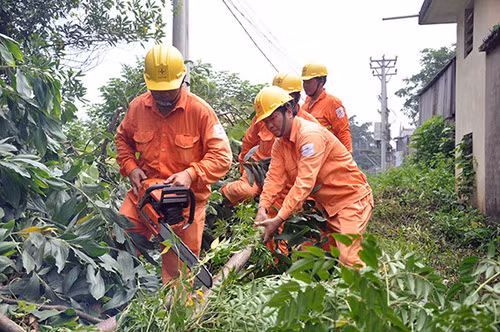 Giảm vi phạm hành lang lưới điện ảnh 3