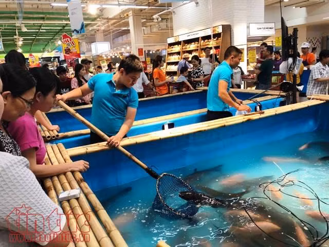 Đưa đặc sản cá sông Đà vào siêu thị phục vụ người tiêu dùng ảnh 1