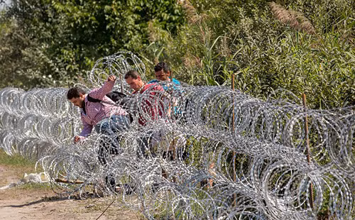 Hình ảnh buồn về người di cư tại biên giới Hungary ảnh 6