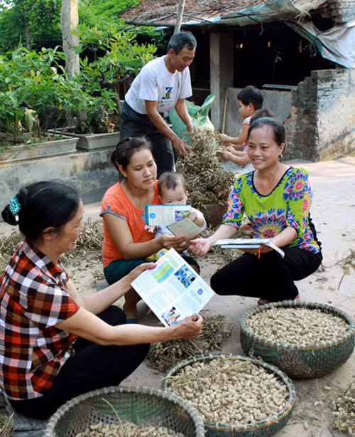 Dân kém mặn mà với bảo hiểm y tế tự nguyện ảnh 1