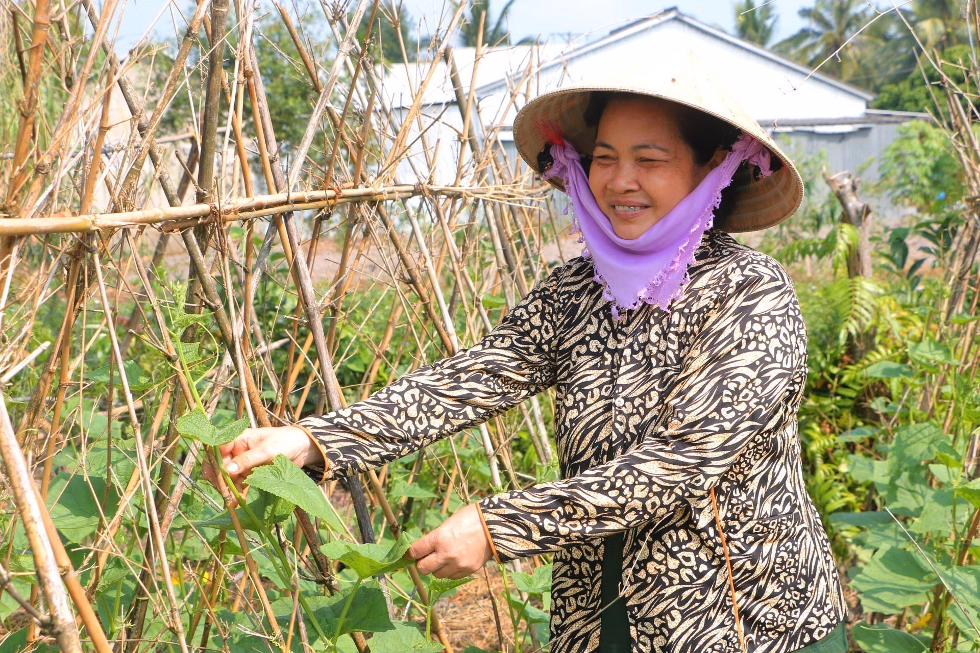 potal-soc-trang-phat-huy-vai-tro-hoi-lien-hiep-phu-nu-trong-giam-ngheo-7793105.jpg