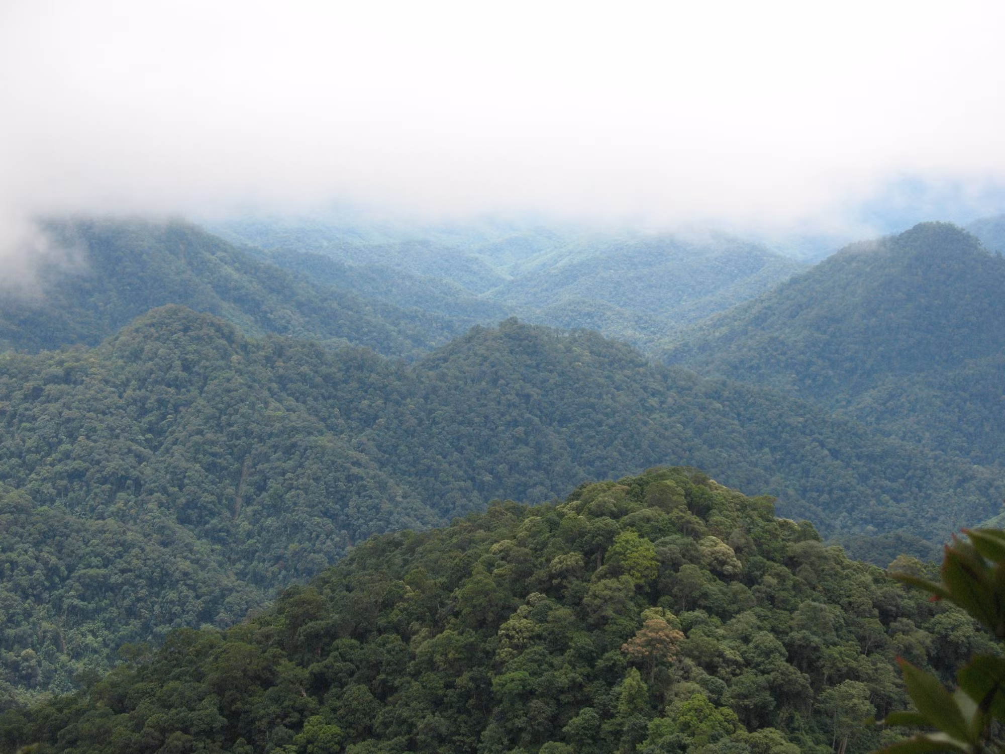 potal-bao-ton-da-dang-sinh-hoc-tai-vuon-quoc-gia-xuan-lien-7851995.jpg
