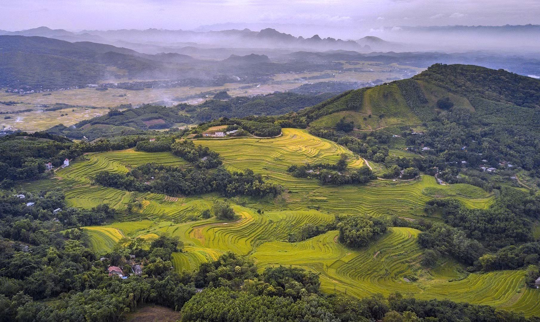 potal-hoa-binh-mua-lua-chin-tren-nhung-thua-ruong-bac-thang-mien-doi-7439443.jpg